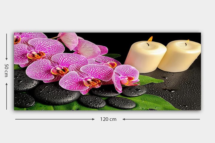 Canvastaulu YTY Floral & Botanical Monivärinen - 120x50 cm - Sisustustuotteet - Taulu & taide - Canvas-taulu