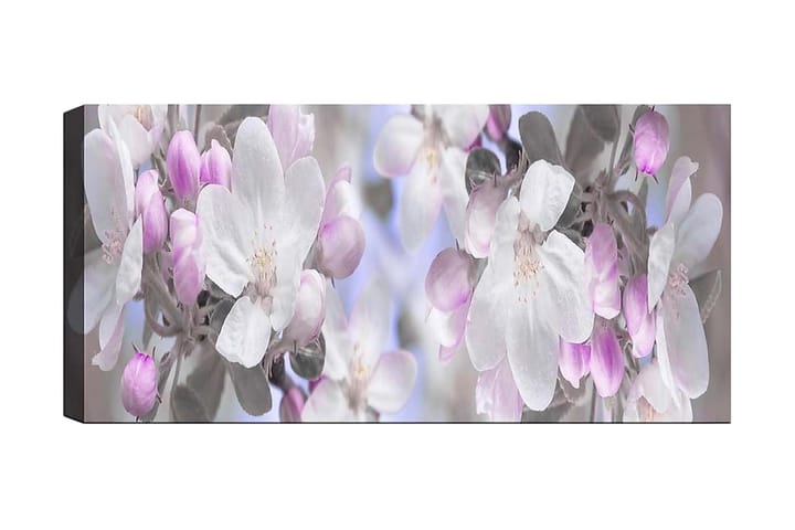 Canvastaulu YTY Floral & Botanical Monivärinen - 120x50 cm - Canvas-taulu - Seinäkoristeet