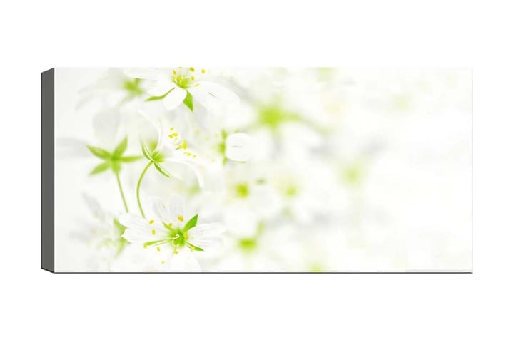 Canvastaulu YTY Floral & Botanical Monivärinen - 120x50 cm - Sisustustuotteet - Taulu & taide - Canvas-taulu