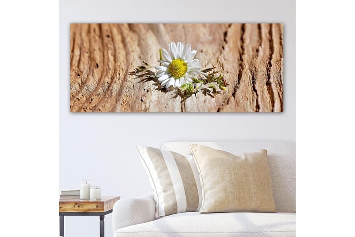 Canvastaulu YTY Floral & Botanical Monivärinen - 120x50 cm - Sisustustuotteet - Taulu & taide - Canvas-taulu