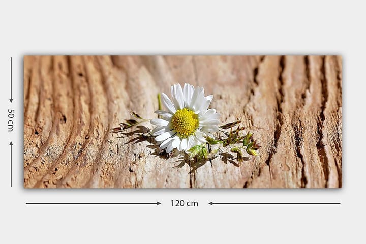 Canvastaulu YTY Floral & Botanical Monivärinen - 120x50 cm - Sisustustuotteet - Taulu & taide - Canvas-taulu