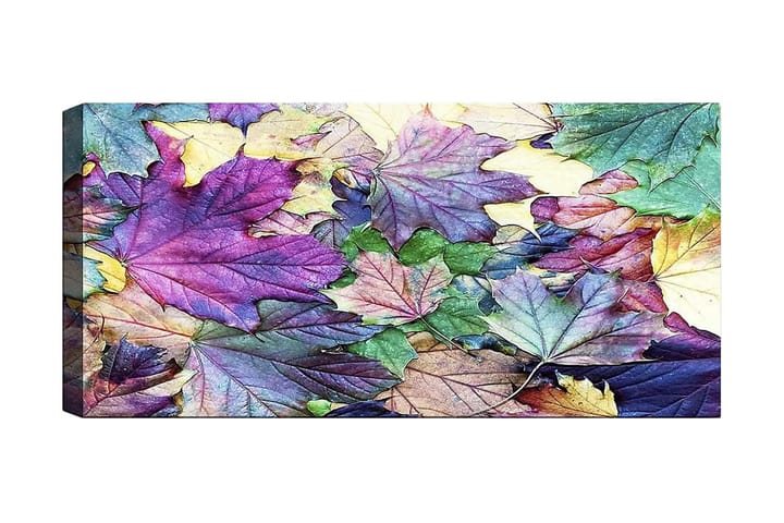 Canvastaulu YTY Floral & Botanical Monivärinen - 120x50 cm - Sisustustuotteet - Taulu & taide - Canvas-taulu