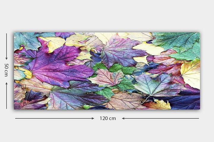 Canvastaulu YTY Floral & Botanical Monivärinen - 120x50 cm - Sisustustuotteet - Taulu & taide - Canvas-taulu