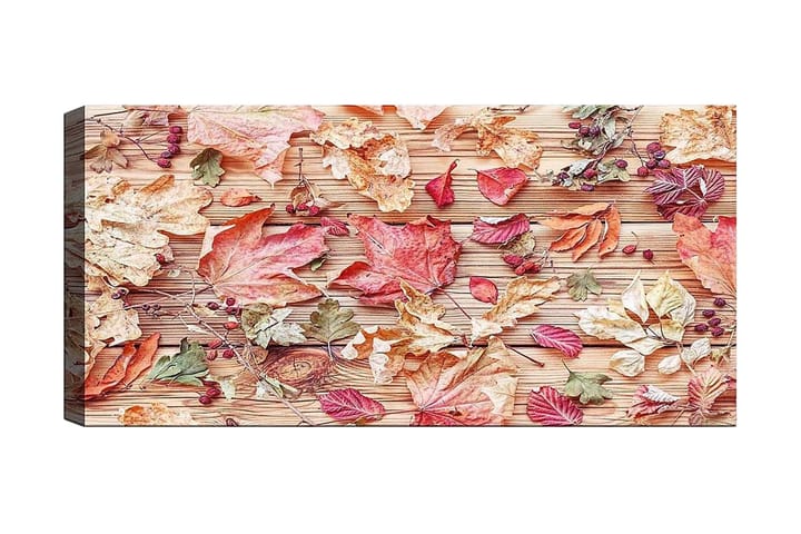 Canvastaulu YTY Floral & Botanical Monivärinen - 120x50 cm - Sisustustuotteet - Taulu & taide - Canvas-taulu