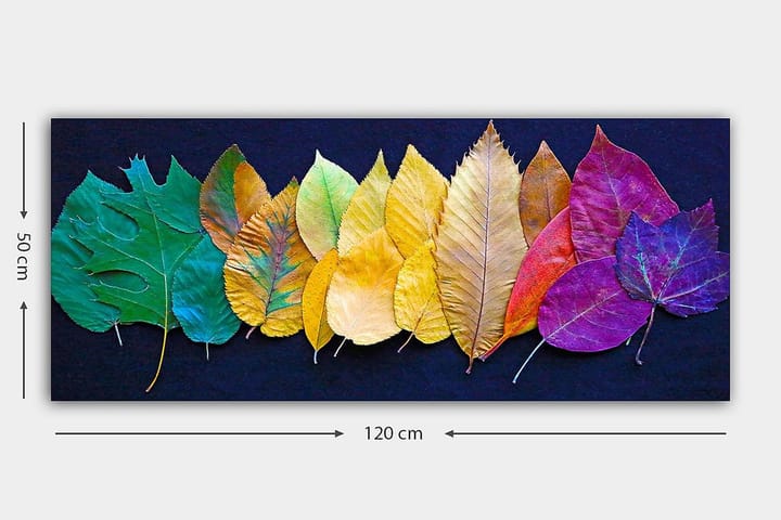 Canvastaulu YTY Floral & Botanical Monivärinen - 120x50 cm - Sisustustuotteet - Taulu & taide - Canvas-taulu