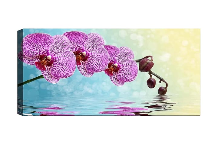 Canvastaulu YTY Floral & Botanical Monivärinen - 120x50 cm - Sisustustuotteet - Taulu & taide - Canvas-taulu