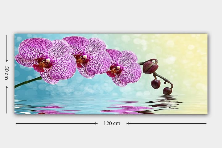 Canvastaulu YTY Floral & Botanical Monivärinen - 120x50 cm - Sisustustuotteet - Taulu & taide - Canvas-taulu