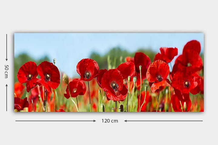 Canvastaulu YTY Floral & Botanical Monivärinen - 120x50 cm - Sisustustuotteet - Taulu & taide - Canvas-taulu