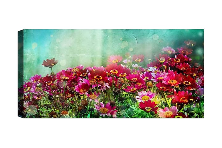 Canvastaulu YTY Floral & Botanical Monivärinen - 120x50 cm - Sisustustuotteet - Taulu & taide - Canvas-taulu