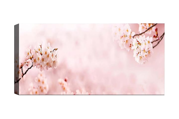 Canvastaulu YTY Floral & Botanical Monivärinen - 120x50 cm - Sisustustuotteet - Taulu & taide - Canvas-taulu