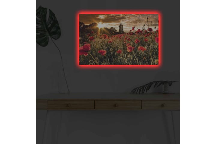 Seinäkoriste LED-valaistu Canvas Maalaus - Sisustustuotteet - Taulu & taide - Canvas-taulu