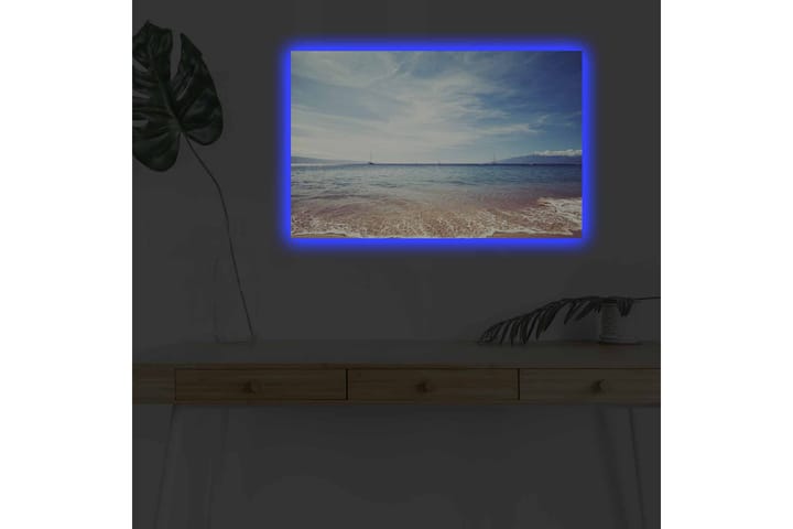 Seinäkoriste LED-valaistu Canvas Maalaus - Sisustustuotteet - Taulu & taide - Canvas-taulu