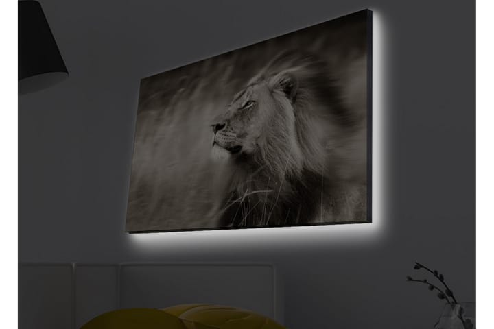 Seinäkoriste LED-valaistu Canvas Maalaus - Sisustustuotteet - Taulu & taide - Canvas-taulu