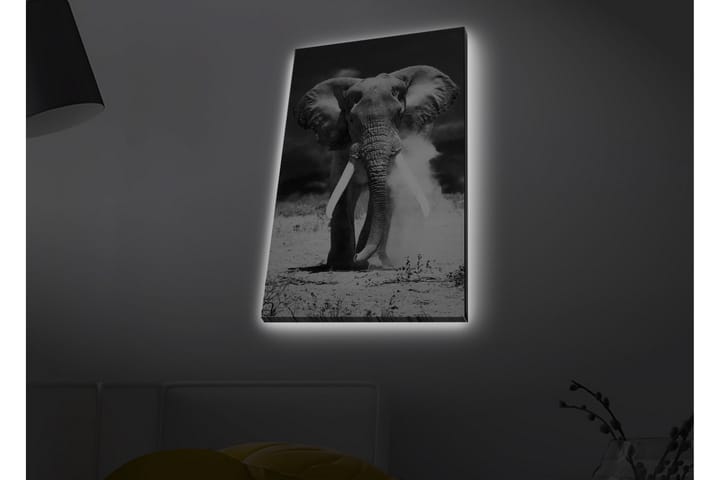 Seinäkoriste LED-valaistu Canvas Maalaus - Sisustustuotteet - Taulu & taide - Canvas-taulu