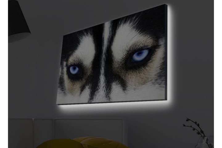 Seinäkoriste LED-valaistu Canvas Maalaus - Sisustustuotteet - Taulu & taide - Canvas-taulu