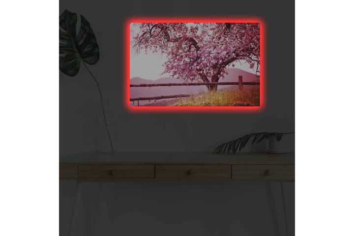 Seinäkoriste LED-valaistu Canvas Maalaus - Sisustustuotteet - Taulu & taide - Canvas-taulu