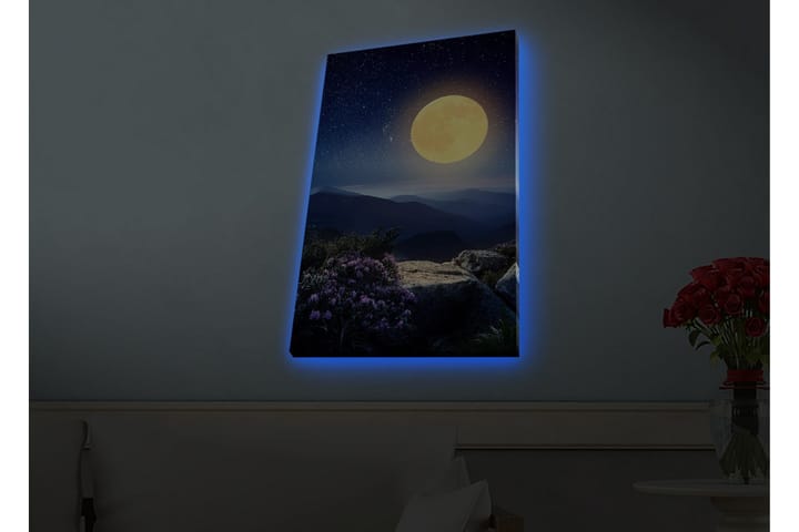 Seinäkoriste LED-valaistu Canvas Maalaus - Sisustustuotteet - Taulu & taide - Canvas-taulu