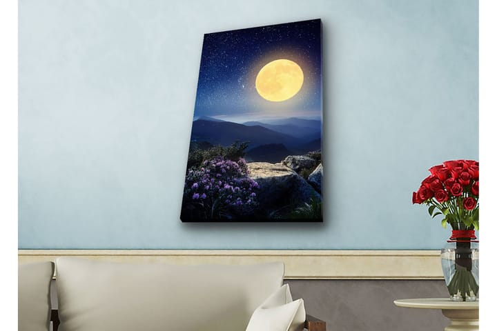 Seinäkoriste LED-valaistu Canvas Maalaus - Sisustustuotteet - Taulu & taide - Canvas-taulu