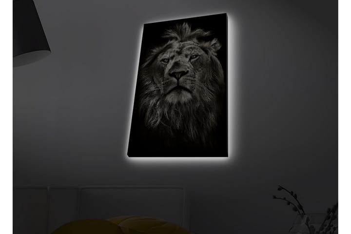 Seinäkoriste LED-valaistu Canvas Maalaus - Sisustustuotteet - Taulu & taide - Canvas-taulu