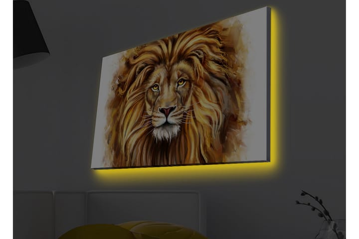 Seinäkoriste LED-valaistu Canvas Maalaus - Sisustustuotteet - Taulu & taide - Canvas-taulu