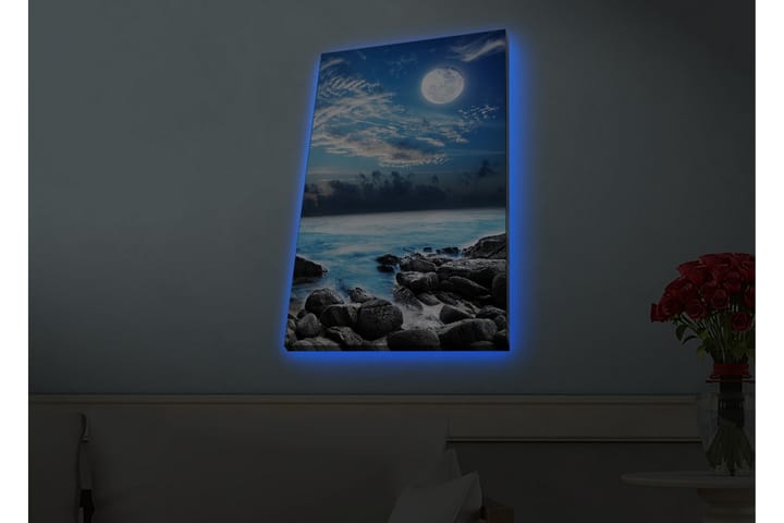 Seinäkoriste LED-valaistu Canvas Maalaus - Sisustustuotteet - Taulu & taide - Canvas-taulu