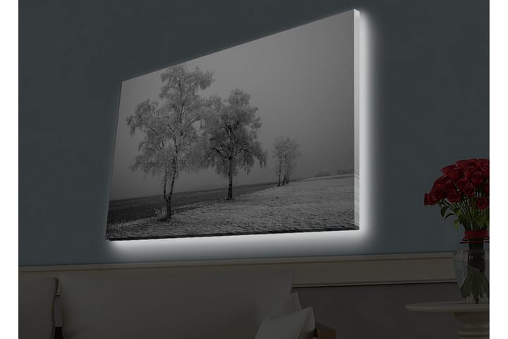 Seinäkoriste LED-valaistu Canvas Maalaus - Sisustustuotteet - Taulu & taide - Canvas-taulu