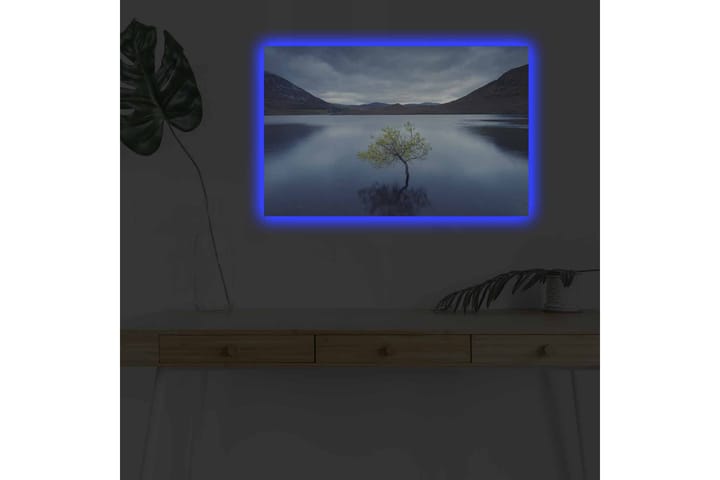 Seinäkoriste LED-valaistu Canvas Maalaus - Sisustustuotteet - Taulu & taide - Canvas-taulu