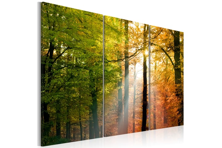 Taulu A Calm Autumn Forest 60x40 - Artgeist sp. z o. o. - Sisustustuotteet - Taulu & taide - Canvas-taulu