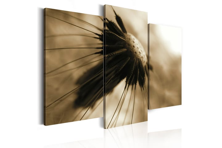 Taulu A Dandelion In Sepia 120x100 - Artgeist sp. z o. o. - Sisustustuotteet - Taulu & taide - Canvas-taulu