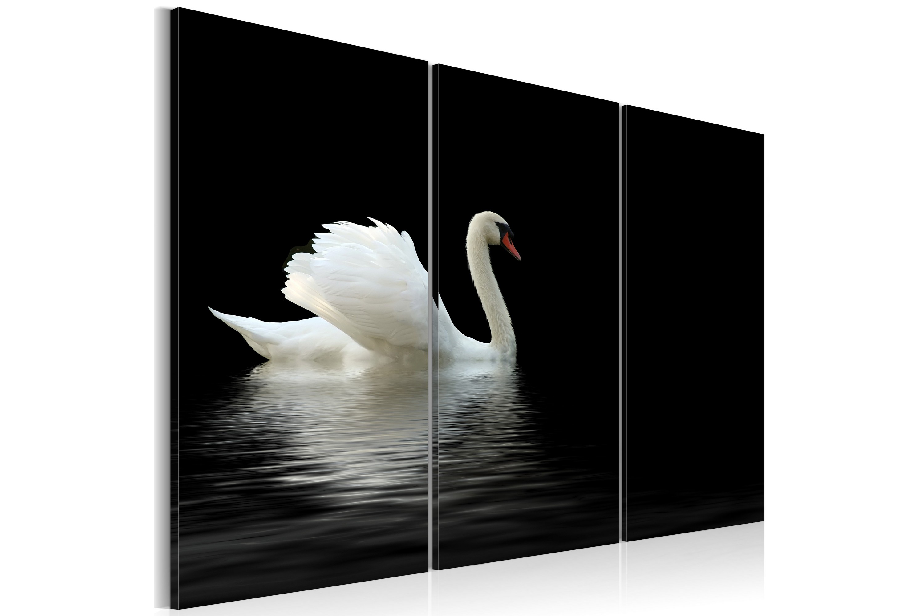 Taulu A Lonely White Swan 120x80 - Artgeist sp. z o. o.