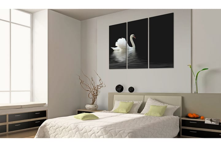 Taulu A lonely white swan 90x60 - Artgeist sp. z o. o. - Sisustustuotteet - Taulu & taide - Canvas-taulu