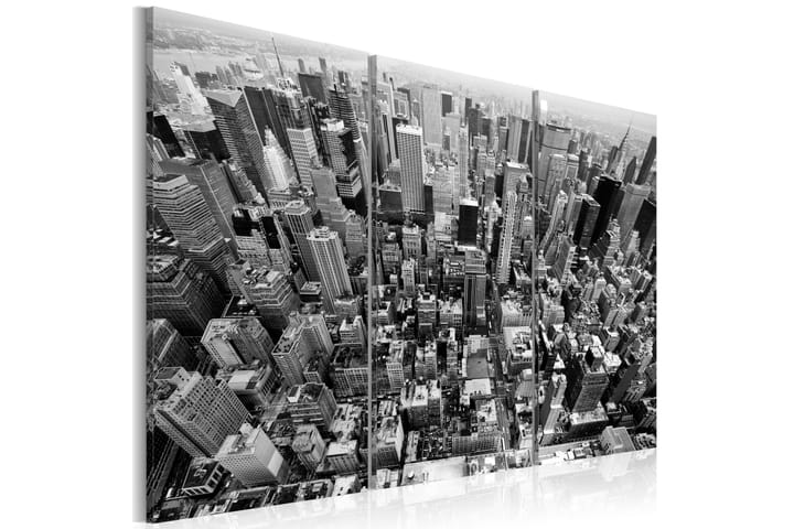 Taulu A marvellous view on New York roofs 60x40 - Artgeist sp. z o. o. - Sisustustuotteet - Taulu & taide - Canvas-taulu