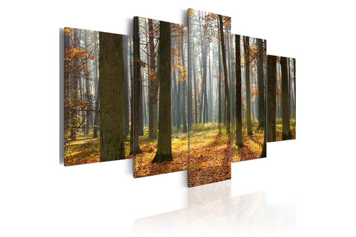 Taulu A Nice Forest Landscape 100x50 - Artgeist sp. z o. o. - Sisustustuotteet - Taulu & taide - Canvas-taulu