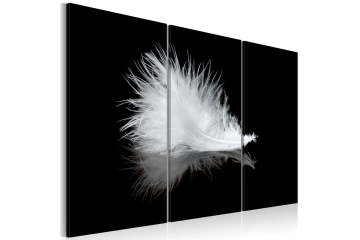 Taulu A Small Feather 120x80 - Artgeist sp. z o. o. - Sisustustuotteet - Taulu & taide - Canvas-taulu