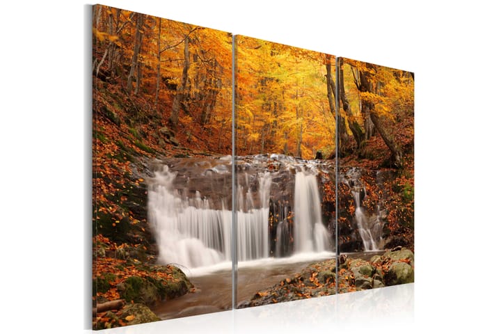 Taulu A Waterfall In The Middle Of Fall Trees 60x40 - Artgeist sp. z o. o. - Sisustustuotteet - Taulu & taide - Canvas-taulu