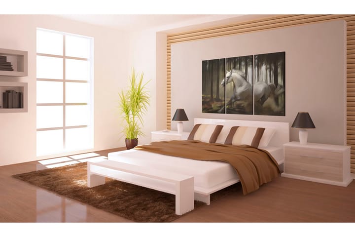 Taulu A White Horse In The Midst Of The Trees 120x80 - Artgeist sp. z o. o. - Sisustustuotteet - Taulu & taide - Canvas-taulu