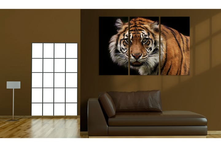 Taulu A Wild Tiger 120x80 - Artgeist sp. z o. o. - Sisustustuotteet - Taulu & taide - Canvas-taulu