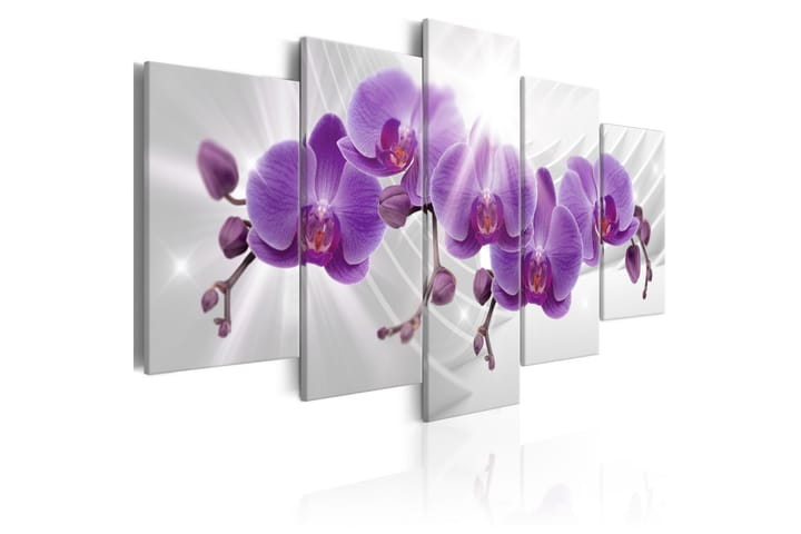 Taulu Abstract Garden Purple Orchis 100x50 - Artgeist sp. z o. o. - Sisustustuotteet - Taulu & taide - Canvas-taulu