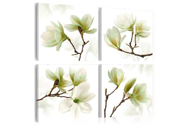 Taulu Admiration Of Magnolia 90x90 - Artgeist sp. z o. o. - Sisustustuotteet - Taulu & taide - Canvas-taulu