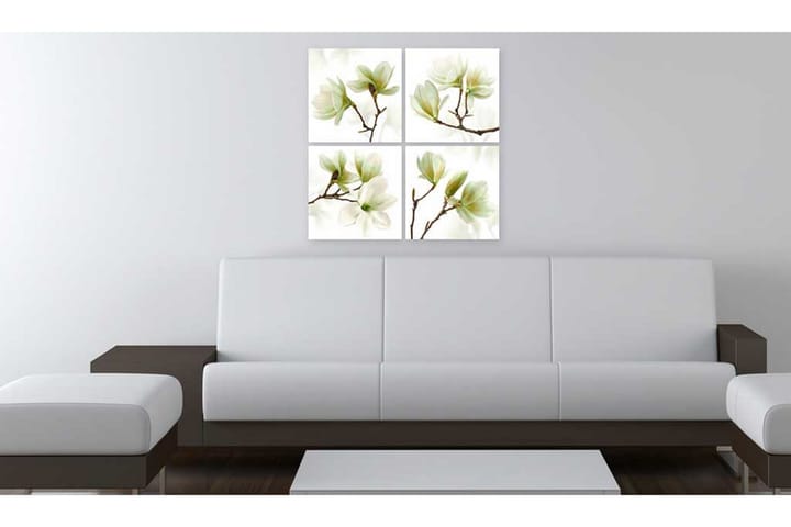 Taulu Admiration Of Magnolia 90x90 - Artgeist sp. z o. o. - Sisustustuotteet - Taulu & taide - Canvas-taulu