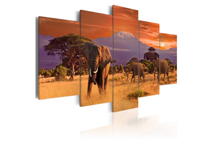 Taulu Africa Elephants 100x50 - Artgeist sp. z o. o. - Sisustustuotteet - Taulu & taide - Canvas-taulu