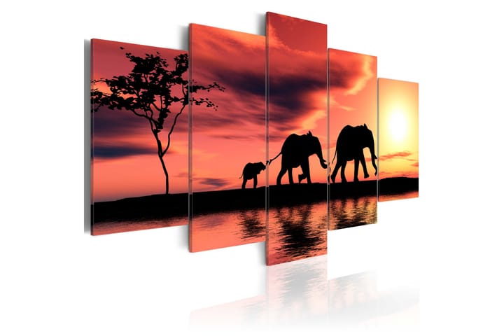 Taulu African Elephants Family 100x50 - Artgeist sp. z o. o. - Sisustustuotteet - Taulu & taide - Canvas-taulu