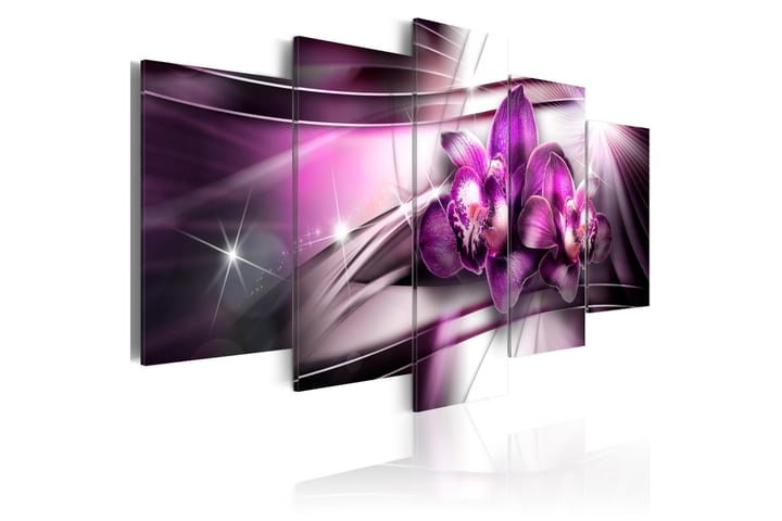 Taulu Amaranthine Tandem 100x50 - Artgeist sp. z o. o. - Sisustustuotteet - Taulu & taide - Canvas-taulu