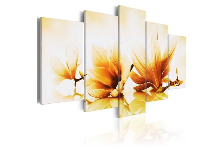 Taulu Amber Magnolias 100x50 - Artgeist sp. z o. o. - Sisustustuotteet - Taulu & taide - Canvas-taulu