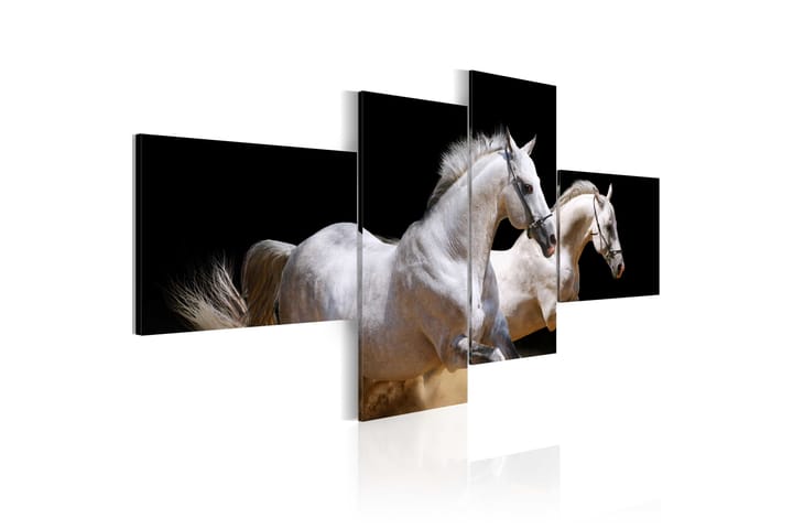 Taulu Animal World- White Horses Galloping 200x90 - Artgeist sp. z o. o. - Sisustustuotteet - Taulu & taide - Canvas-taulu