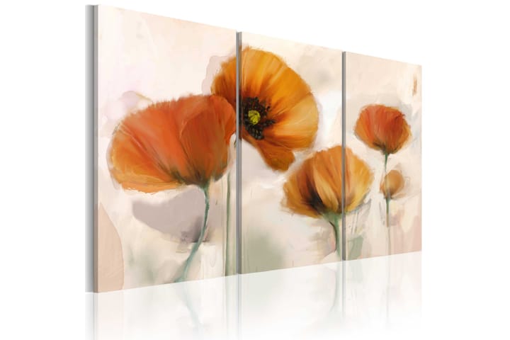 Taulu Artistic poppies triptych 90x60 - Artgeist sp. z o. o. - Sisustustuotteet - Taulu & taide - Canvas-taulu