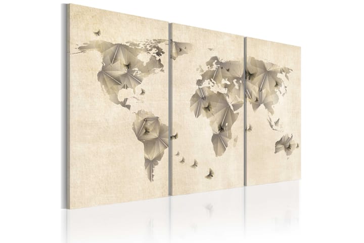 Taulu Atlas Of Butterfly Triptych 120x80 - Artgeist sp. z o. o. - Sisustustuotteet - Taulu & taide - Canvas-taulu