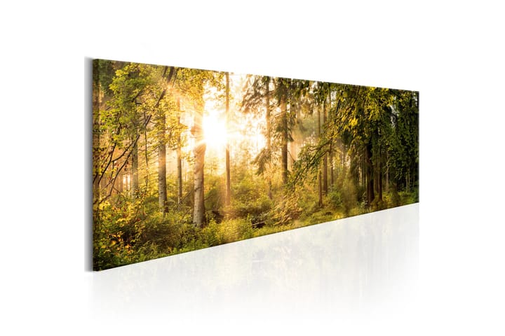 Taulu Autumn Sigh 135x45 - Artgeist sp. z o. o. - Canvas-taulu - Seinäkoristeet