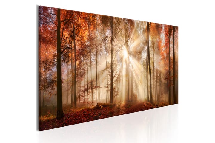 Taulu Autumnal Dawn 120x40 - Artgeist sp. z o. o. - Sisustustuotteet - Taulu & taide - Canvas-taulu