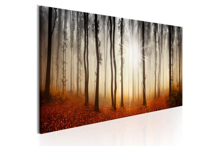 Taulu Autumnal Fog 135x45 - Artgeist sp. z o. o. - Canvas-taulu - Seinäkoristeet